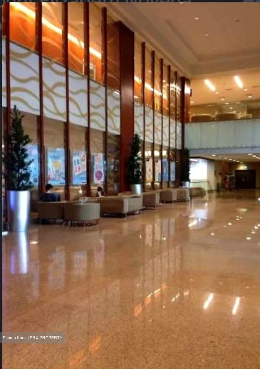 Mount Elizabeth Novena Hospital (D12), Retail #557269691